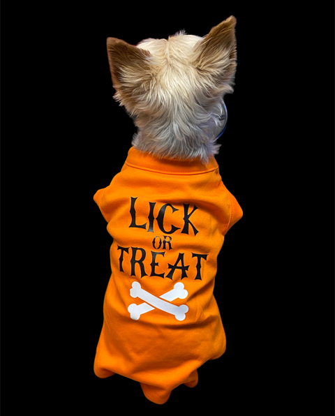 LICK OR TREAT Halloween Dog Shirt Orange with Glow in Dark Dog Bone