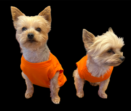 LICK OR TREAT Halloween Dog Shirt Orange with Glow in Dark Dog Bone