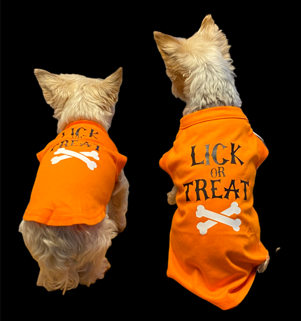 LICK OR TREAT Halloween Dog Shirt Orange with Glow in Dark Dog Bone