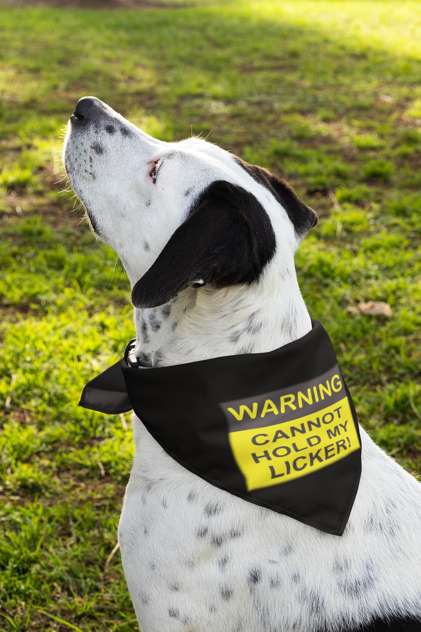 PET BANDANAS - Lick or Treat, Bed Hog, The Snuggle Is real, Cannot hold Licker