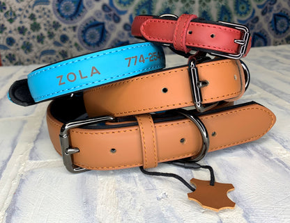 Custom Engraved Leather Dog Collars