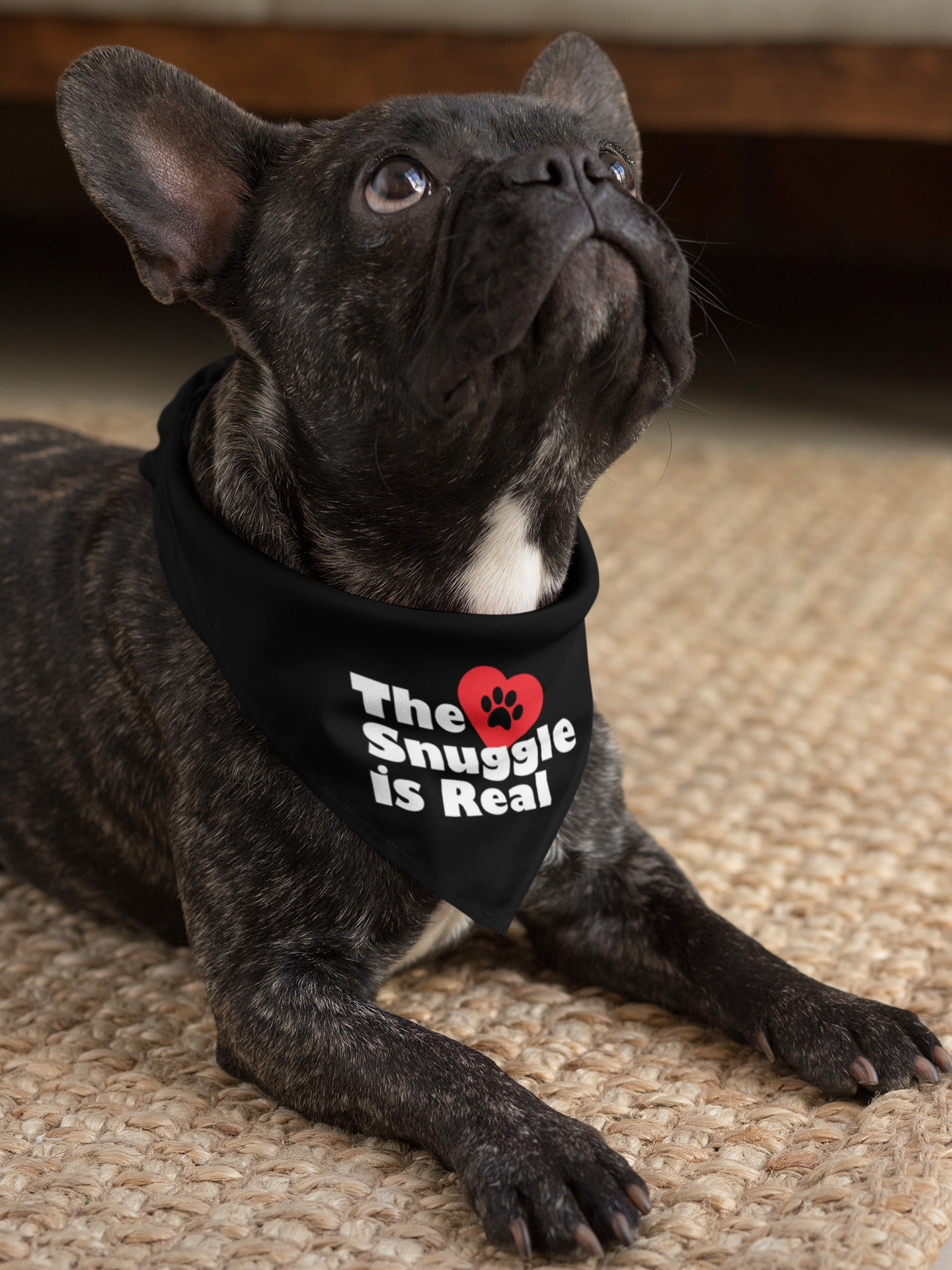 PET BANDANAS - Lick or Treat, Bed Hog, The Snuggle Is real, Cannot hold Licker