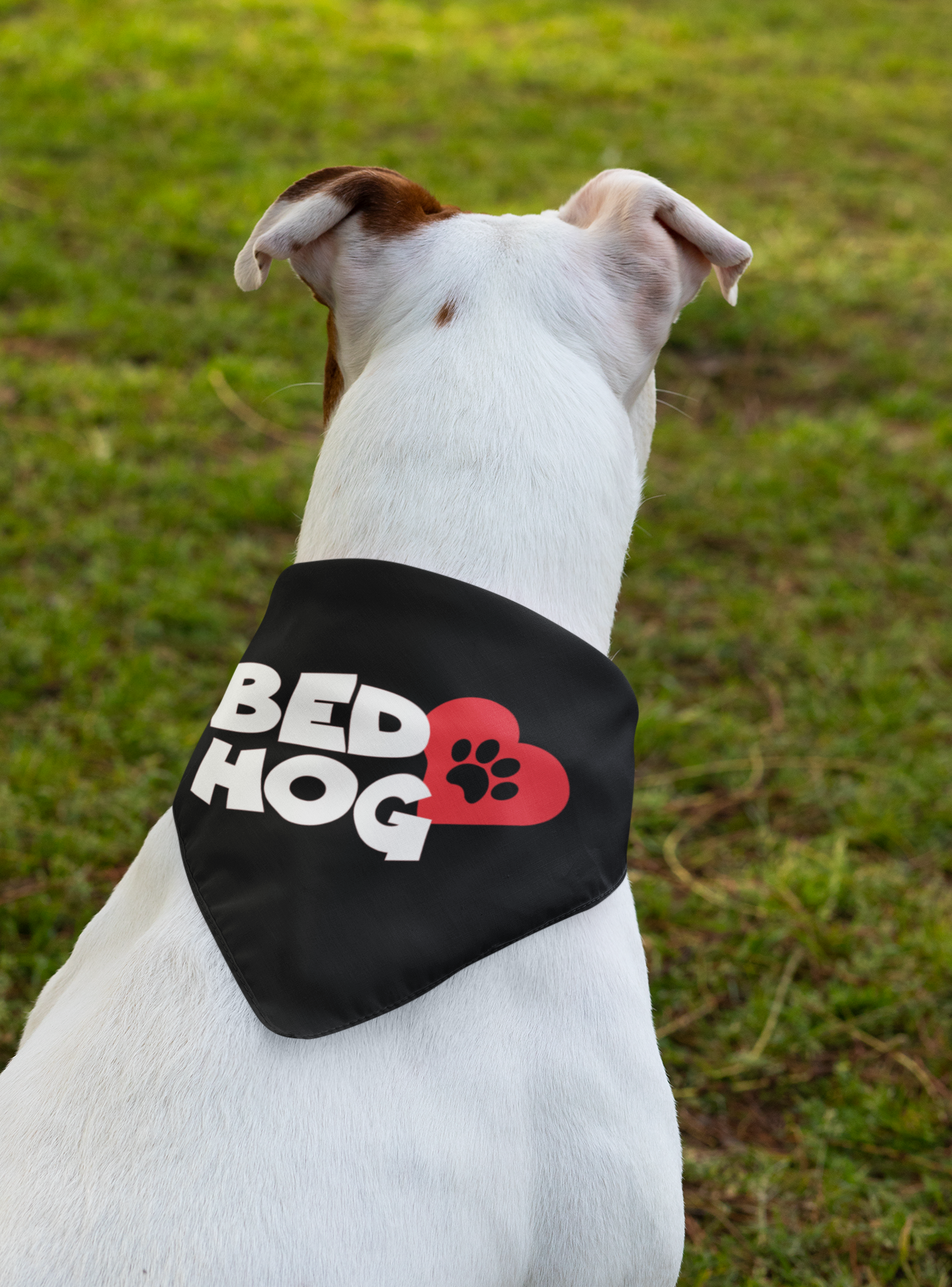 PET BANDANAS - Lick or Treat, Bed Hog, The Snuggle Is real, Cannot hold Licker