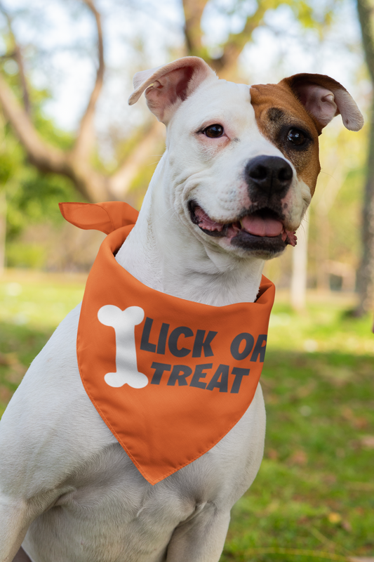 PET BANDANAS - Lick or Treat, Bed Hog, The Snuggle Is real, Cannot hold Licker